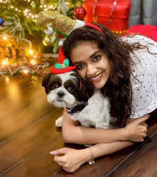 south-indian-stars-christmas-vibes